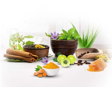 Ayurvedic Products